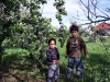 kids-and-plums