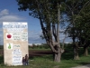 the-big-sign