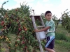 up-a-ladder